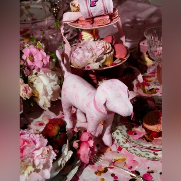 PINK x LOVESHACKFANCY Exclusive Limited Edition Dog August 2025 Release - Picture 4 of 4